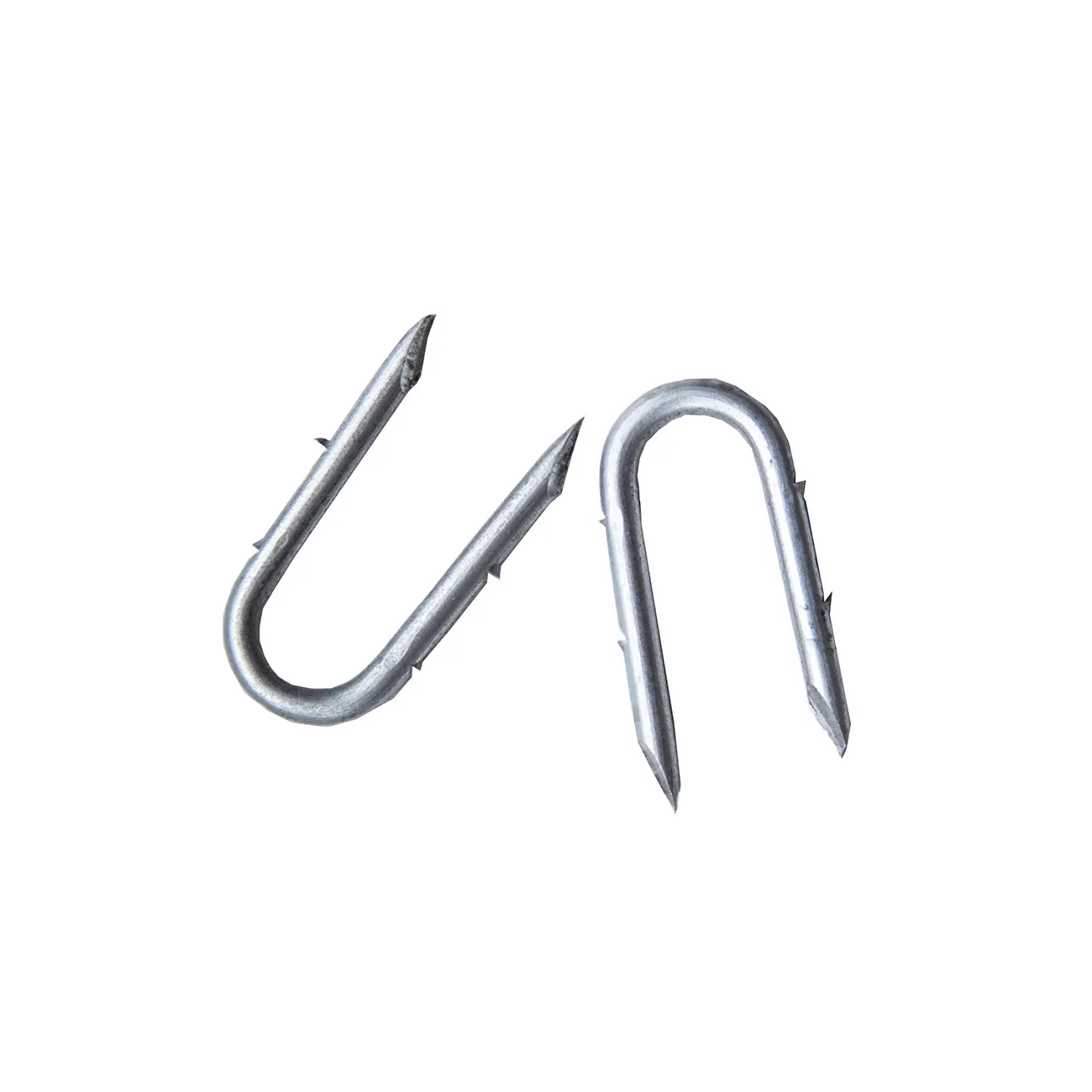 Fence Staples