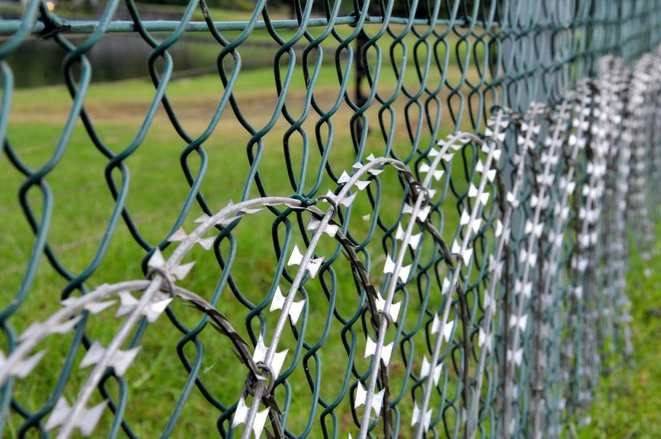 Razor Wire 500mm